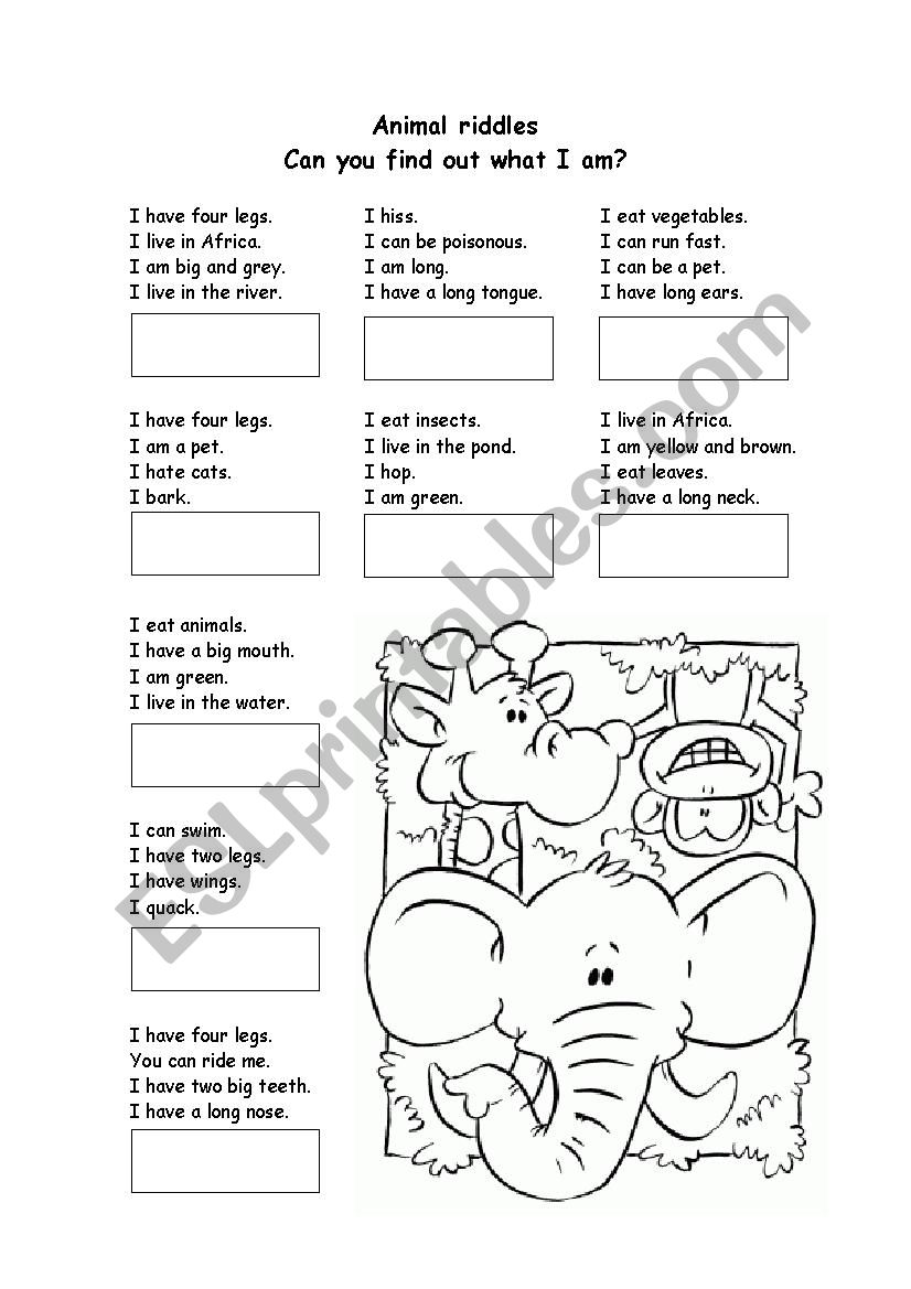 Animal Riddles worksheet