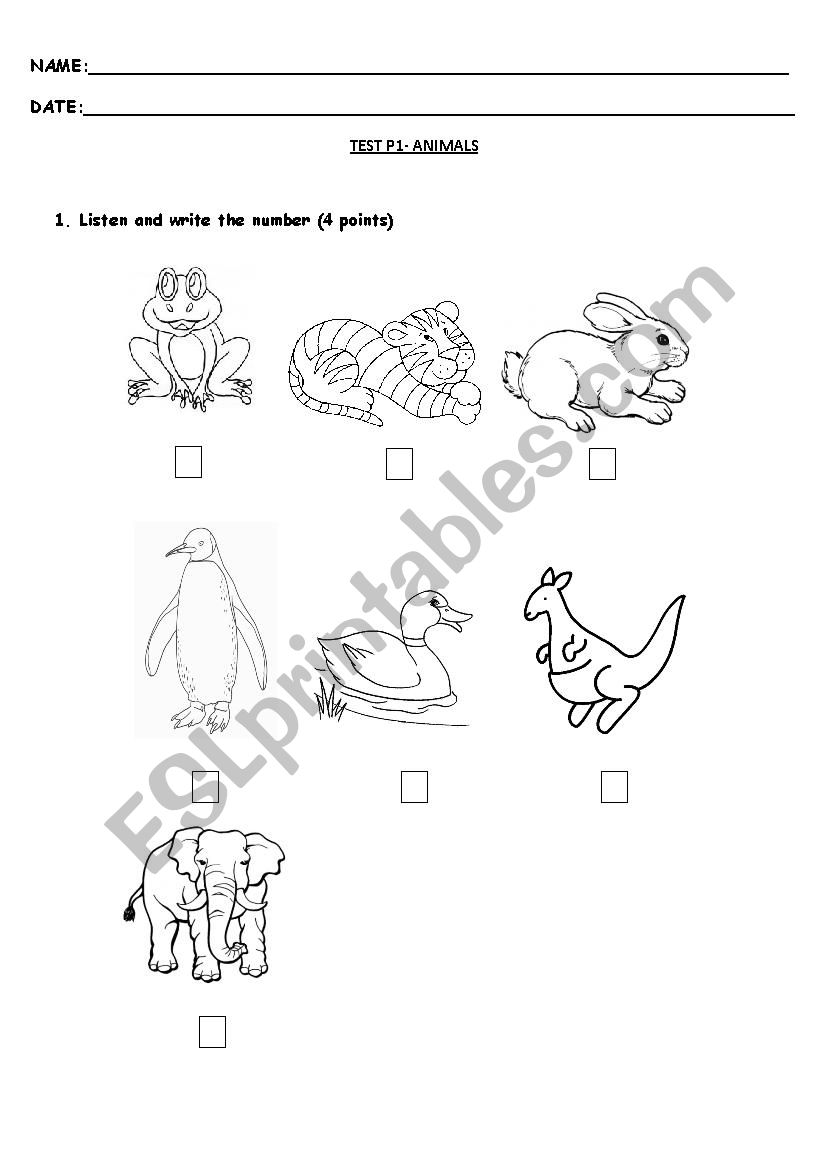 Animals worksheet