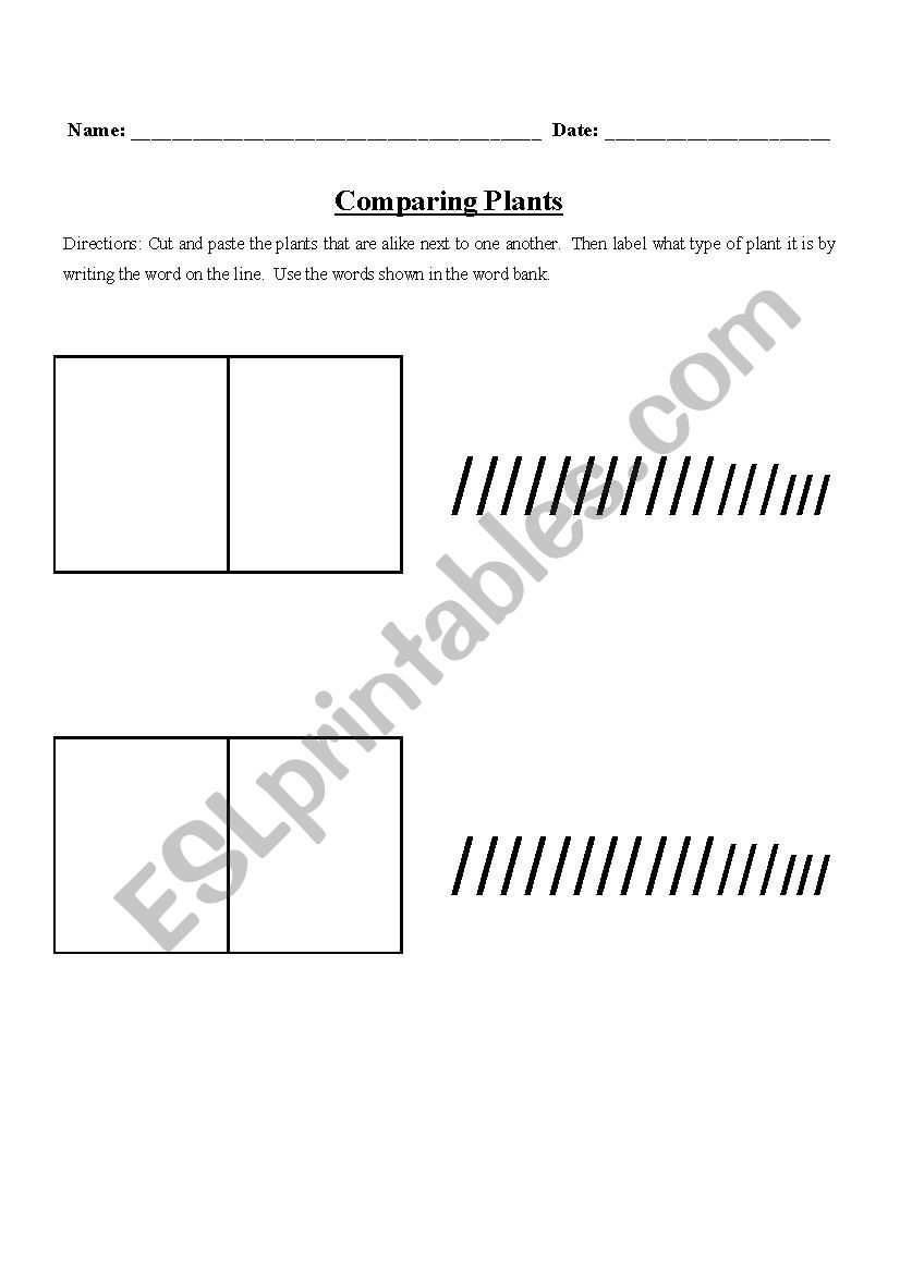 Comparing Plants worksheet