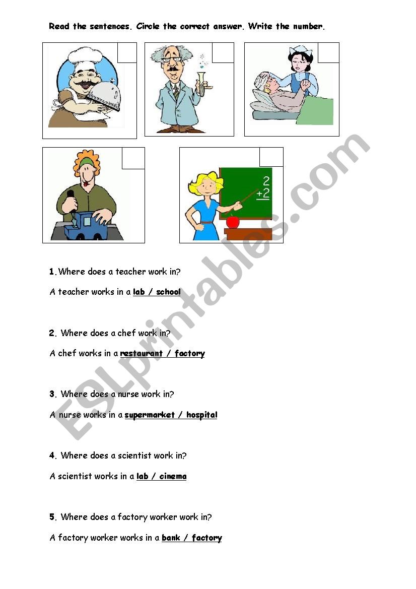 OCCUPATIONS worksheet