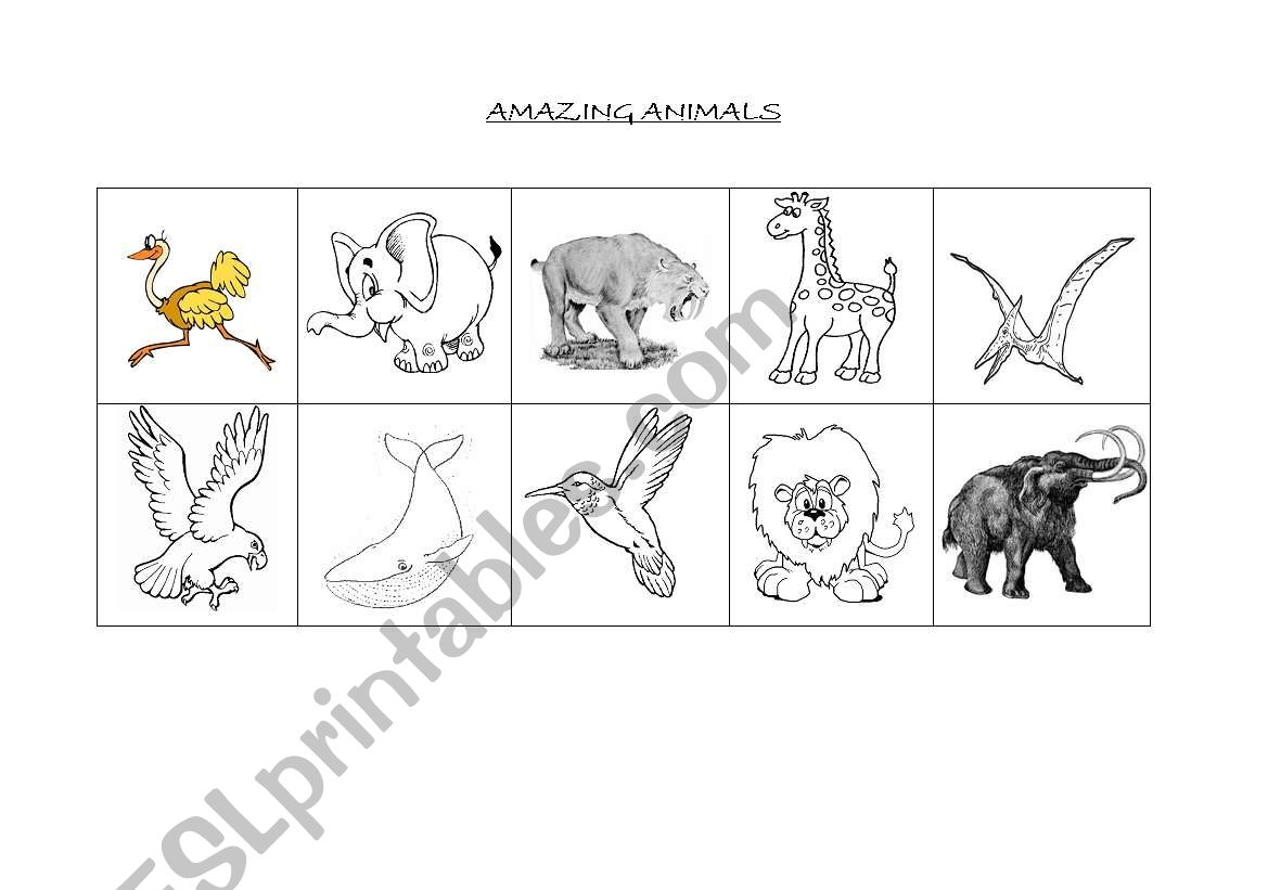 Amazing animals bingo worksheet