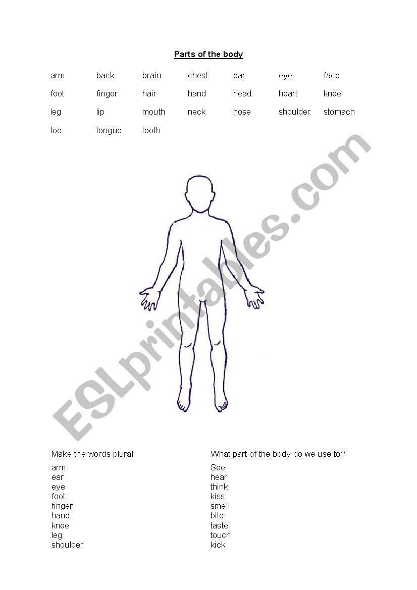 Parts of the body - vocab worksheet