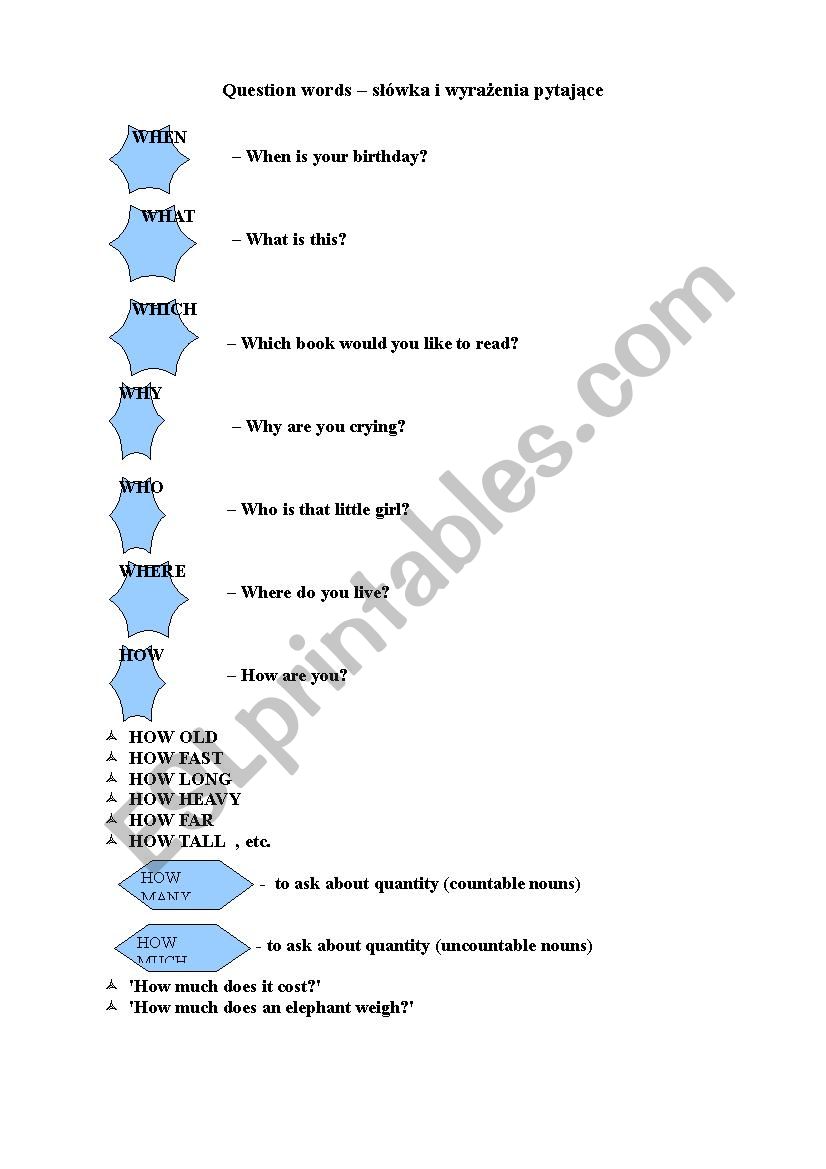 question words worksheet