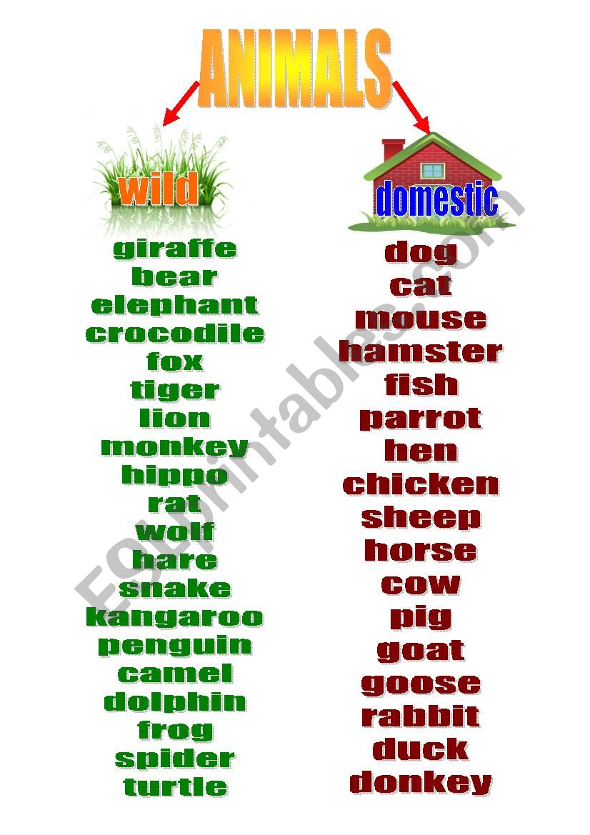 ANIMALS worksheet