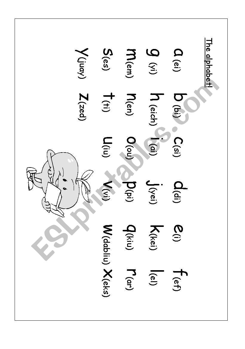 the alphabet worksheet