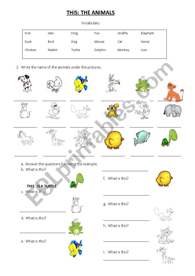 THIS: ANIMALS worksheet