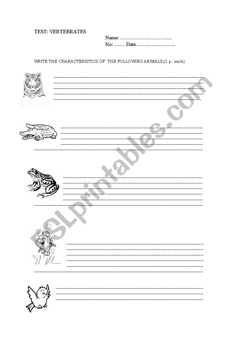 TEST. VERTEBRATES worksheet