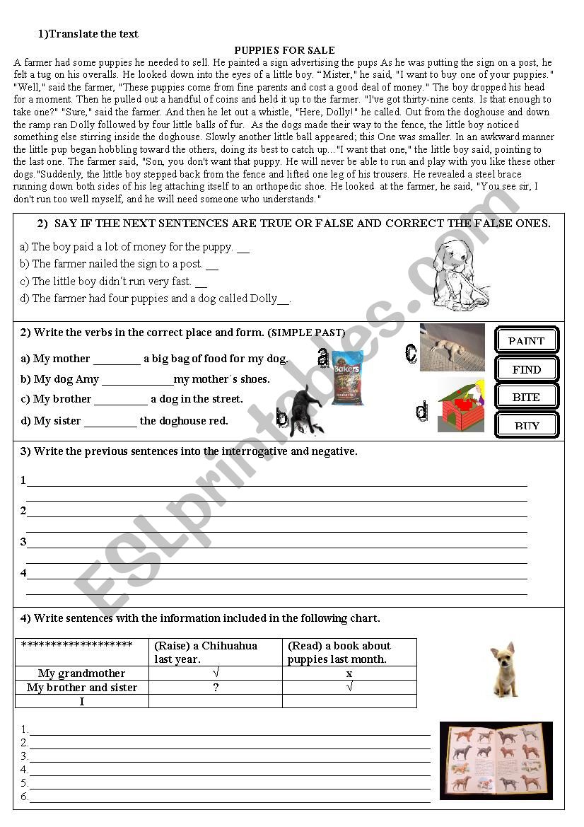 puppies for sale worksheet