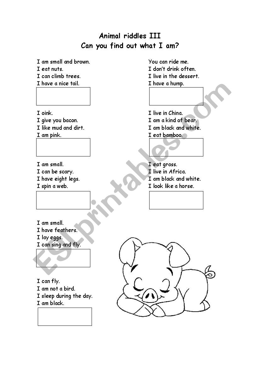 Animals Riddles 3 worksheet