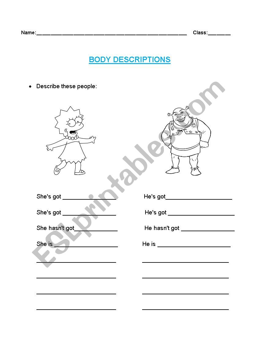 Body descriptions worksheet