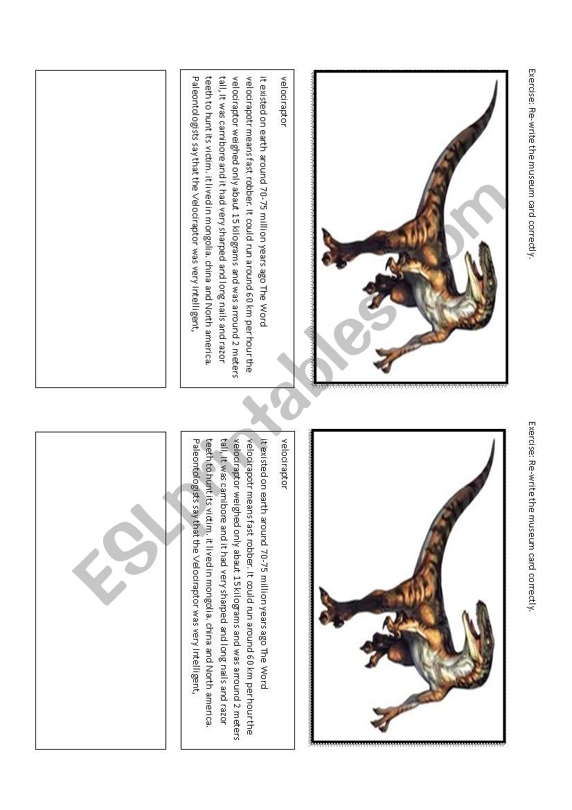 Museum Card (dinosaur) worksheet