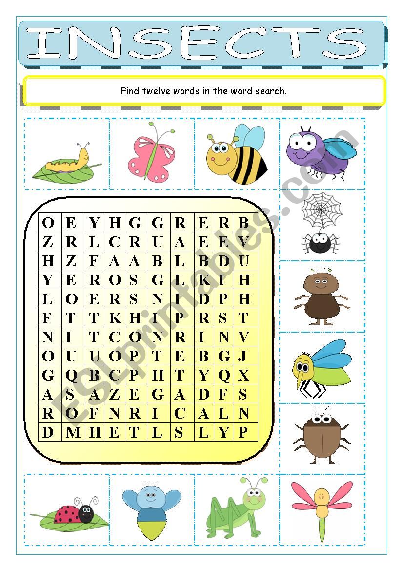 Insects Wordsearch worksheet