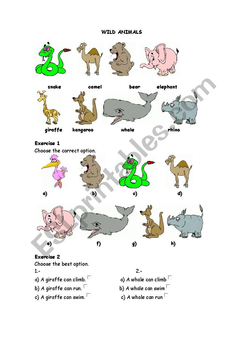 wild animals worksheet