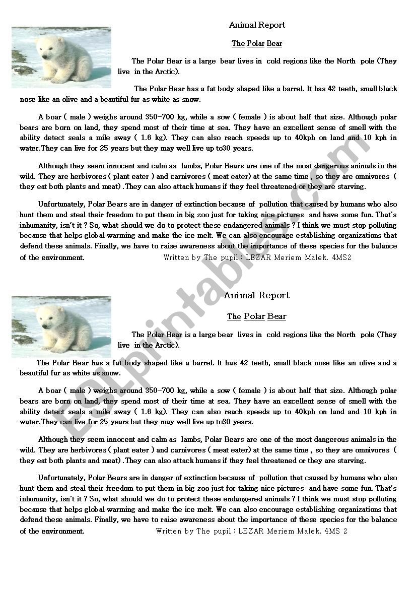 animl report worksheet