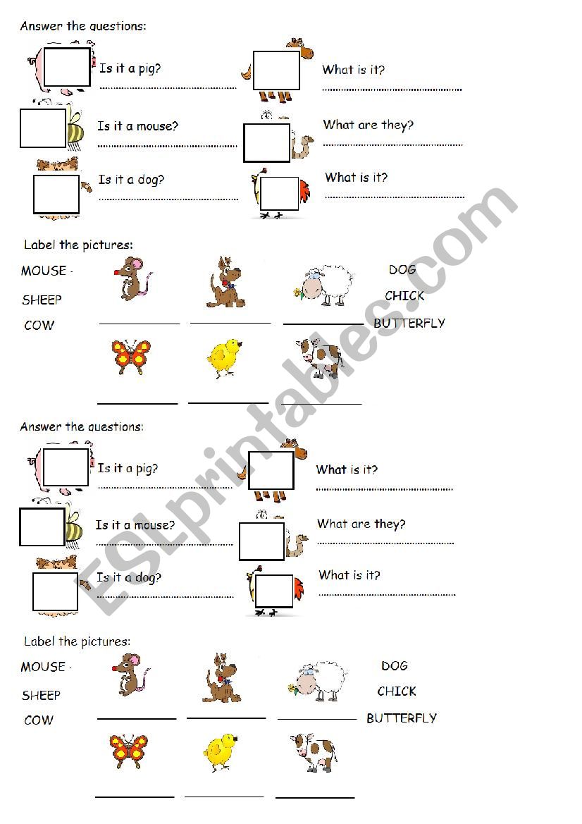 FARM ANIMALS worksheet