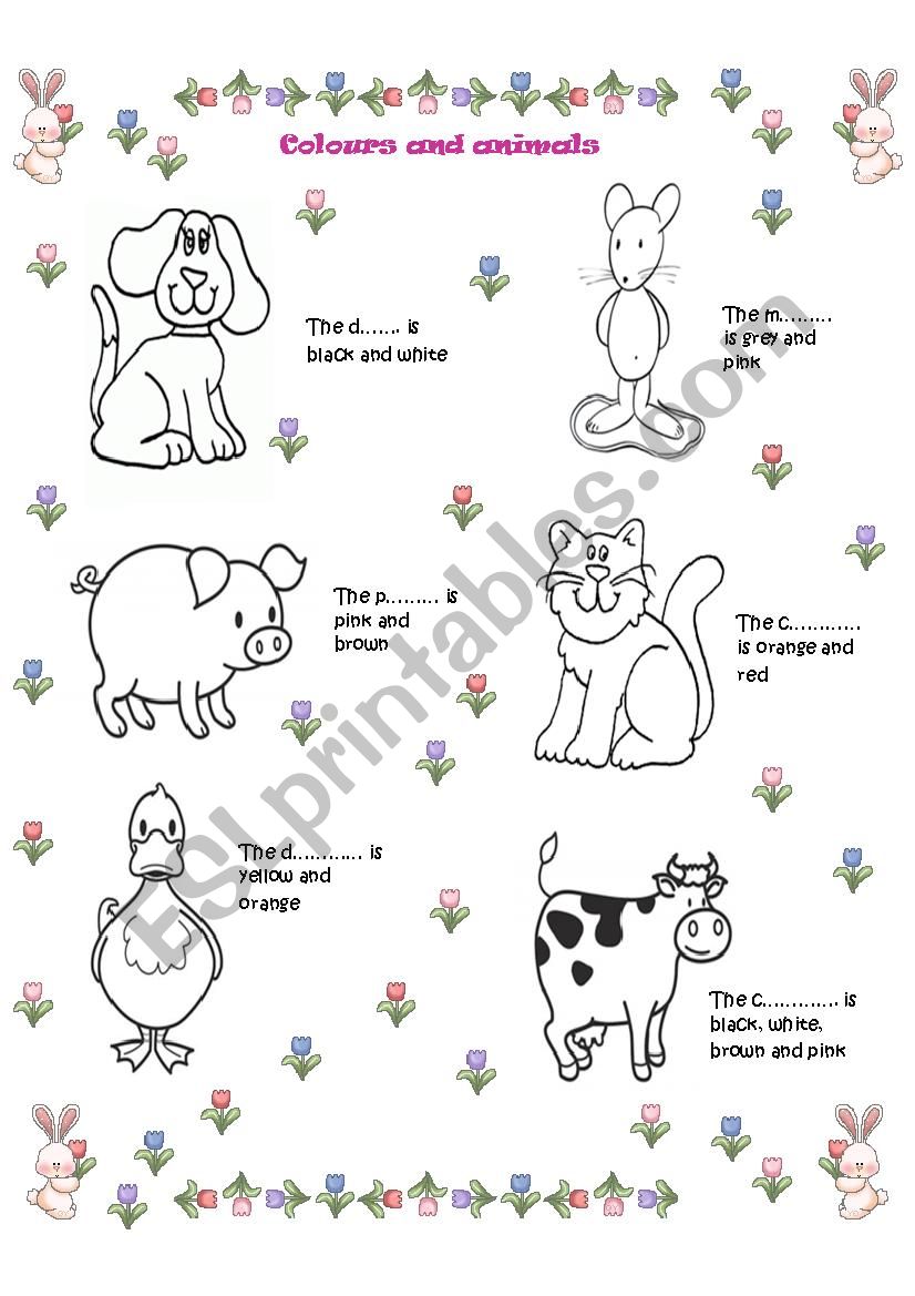 Colours And Animals Completeread And Colour Esl Worksheet By Rimiri