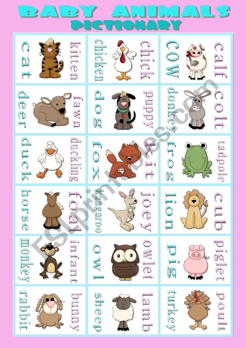 BABY ANIMALS - pictionary worksheet