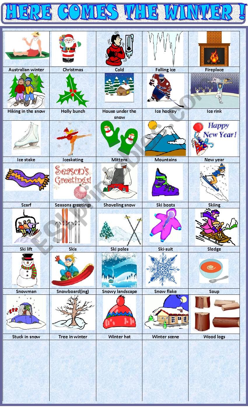 Winter: pictionary worksheet