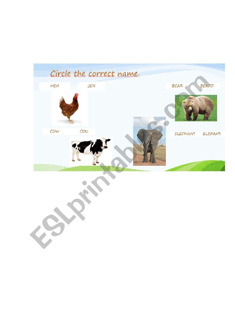 Animals worksheet