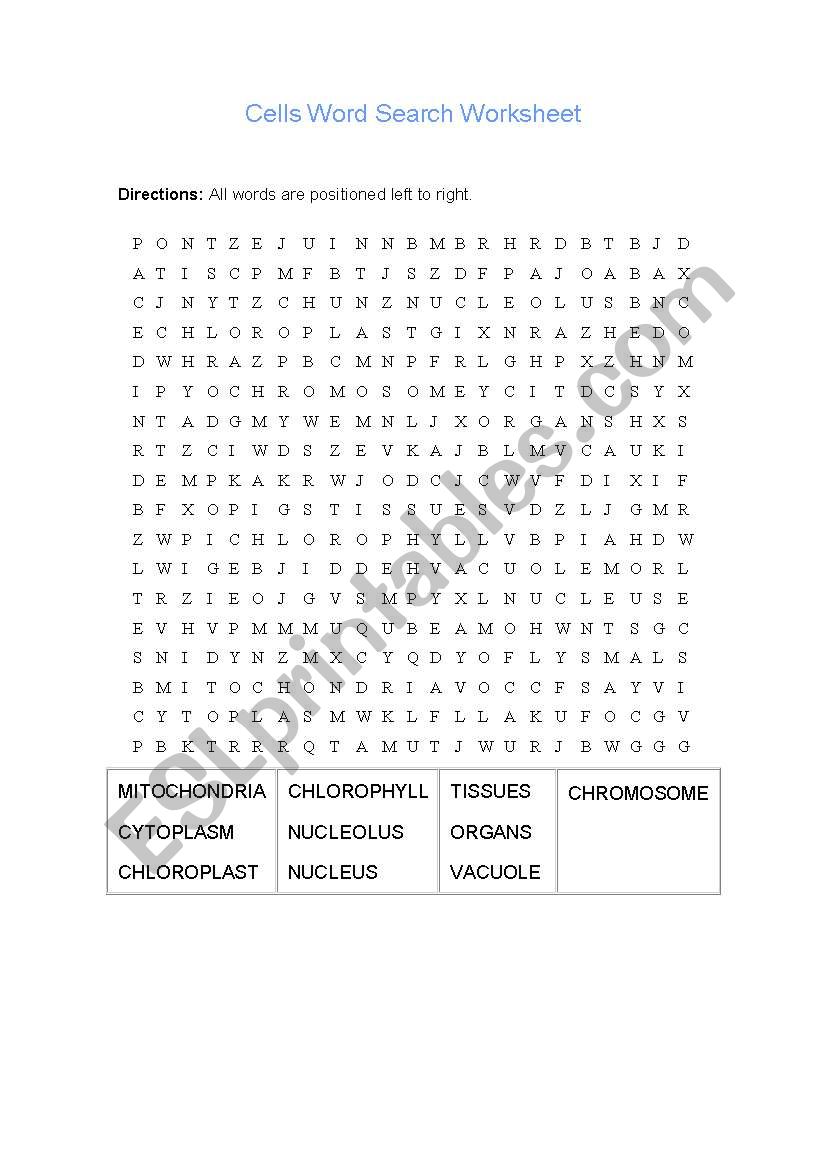 Cell wordsearch worksheet