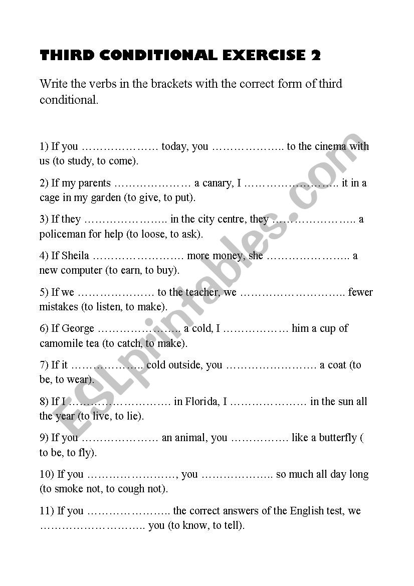 Third Conditional Exercise 2 worksheet