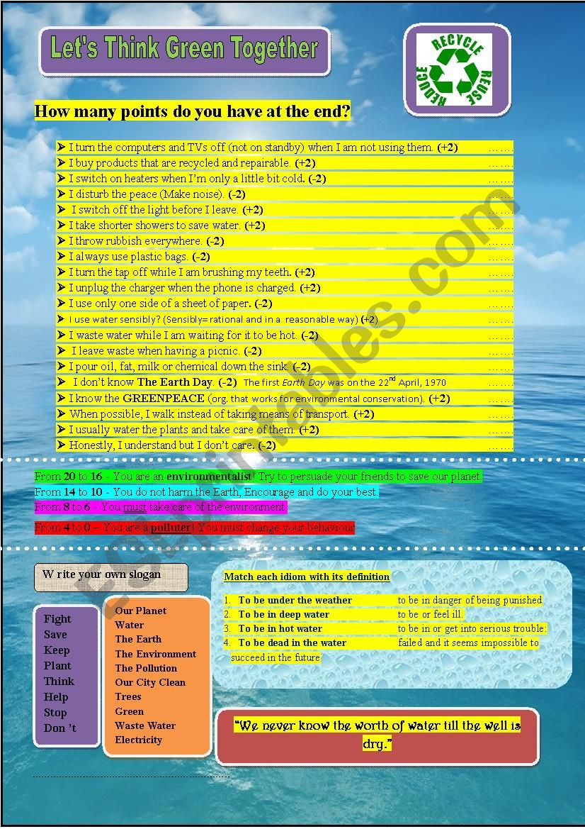 Environmentalist or  Polluter worksheet