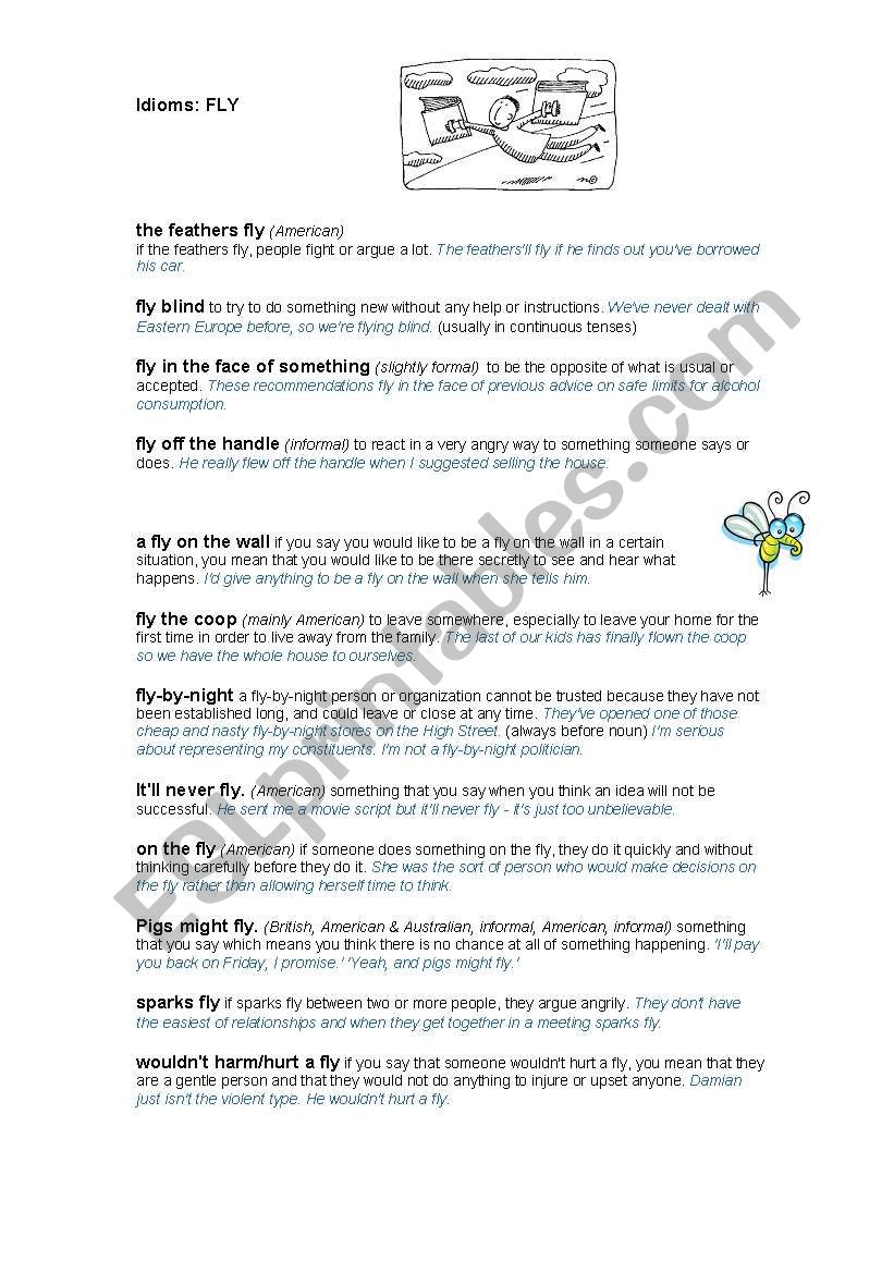 Fly idioms worksheet