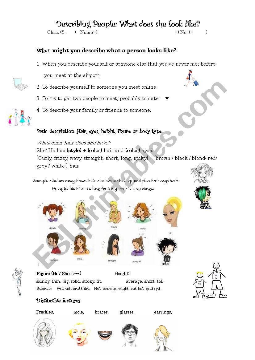 Destinctive Features Part 1 worksheet