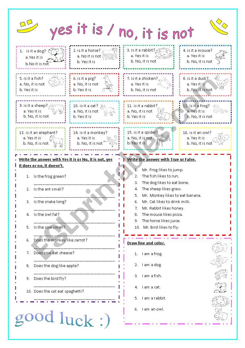 simple present worksheet