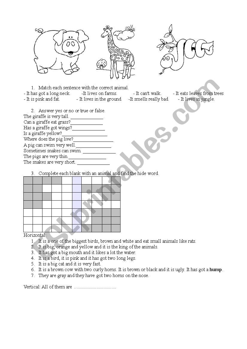 Animals Primary worksheet
