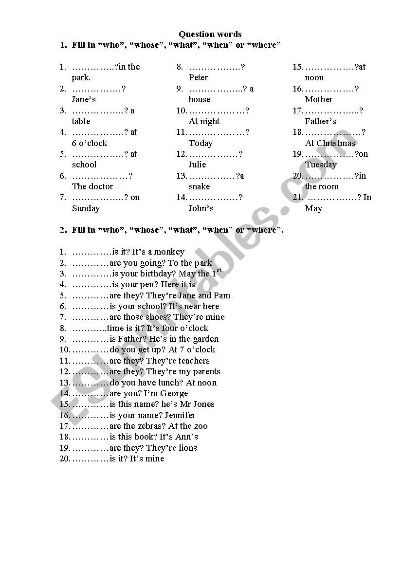 question words worksheet