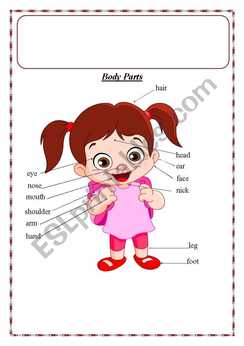 body parts worksheet