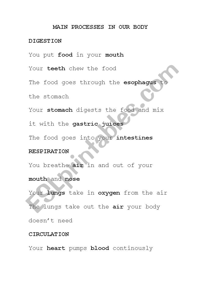 Main body processes in our body: Respiration, digestion, circulation