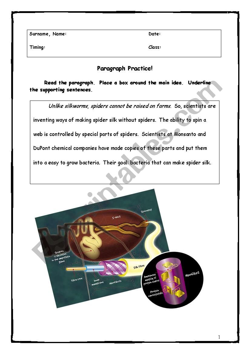 Paragraph Writing worksheet