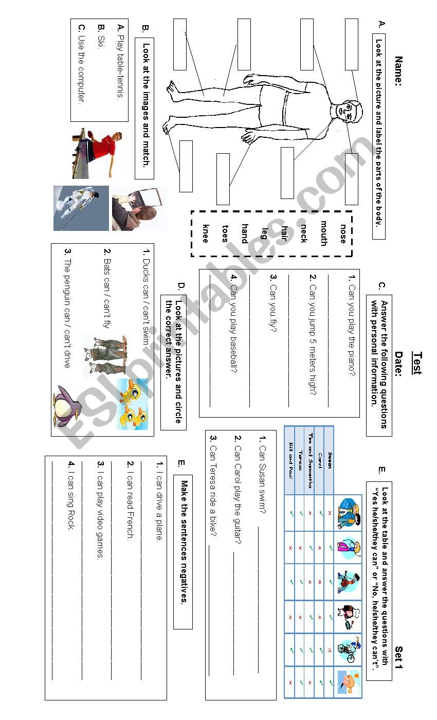 test elementary students worksheet