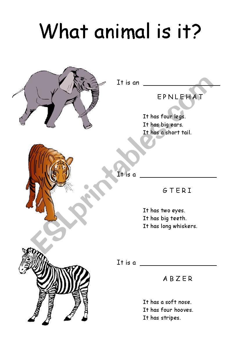 What animal is it? worksheet