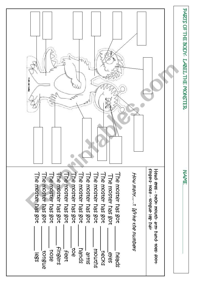 Monster Body worksheet