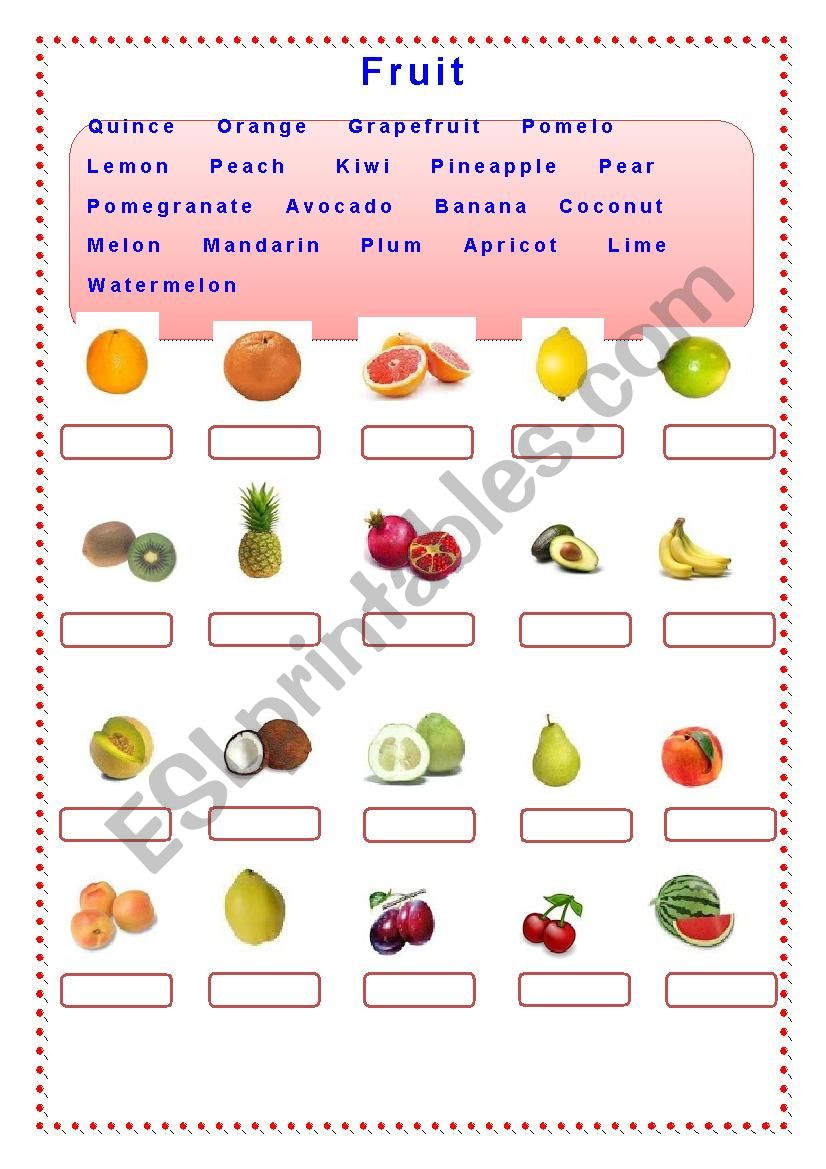 Fruit vocabulary worksheet