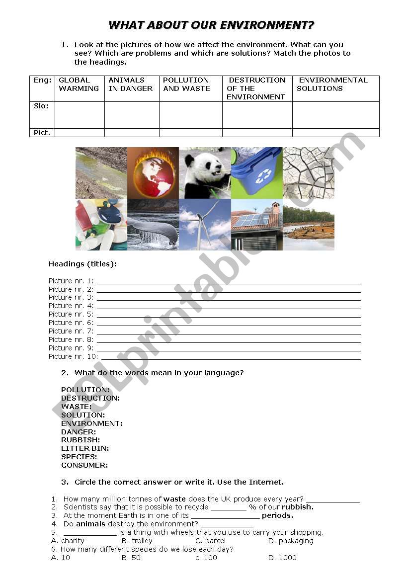 ENVIRONMENT worksheet