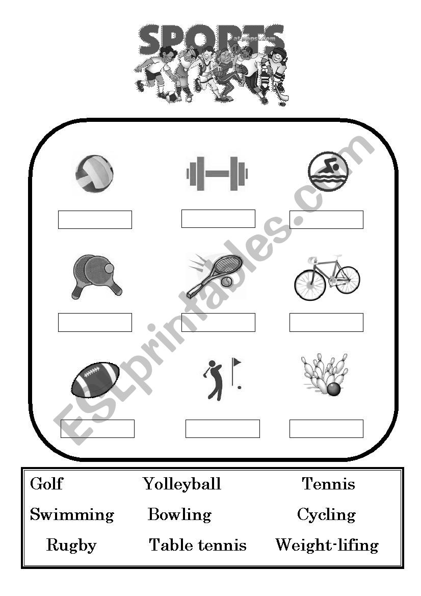 sport worksheet