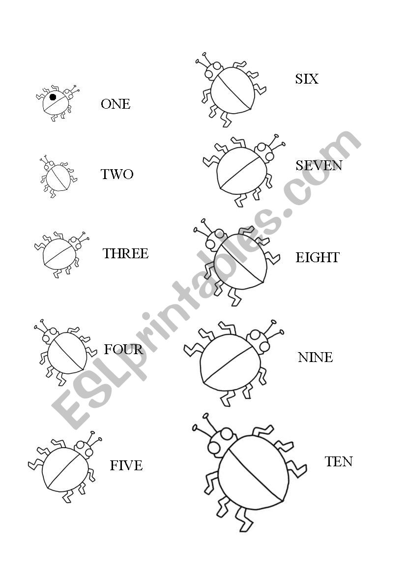 Counting 1-10 worksheet