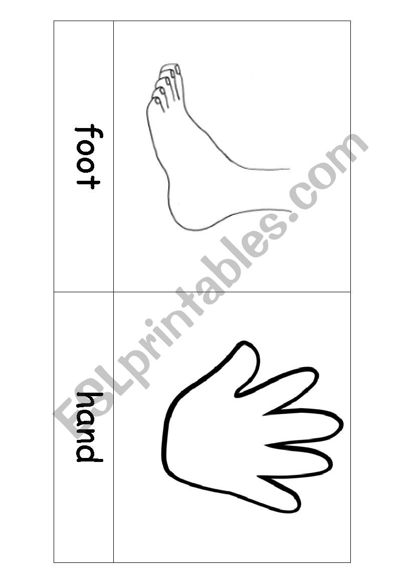 Body parts flashcards BW worksheet