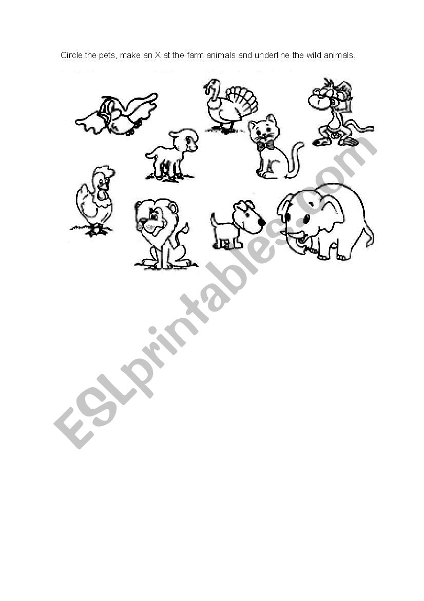 Animals worksheet