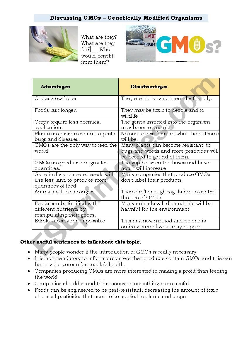 Discussing Genetically Modified Organisms