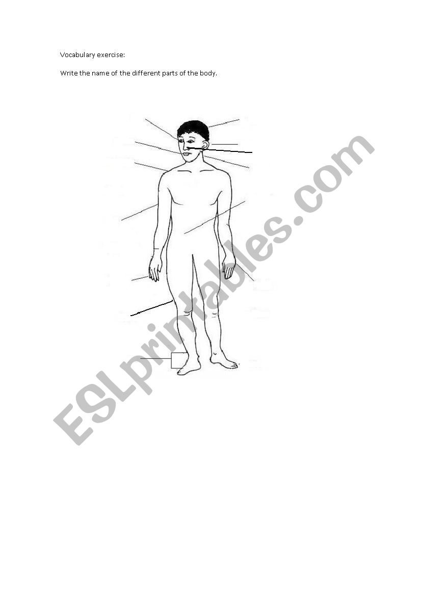 Body parts vocabulary worksheet