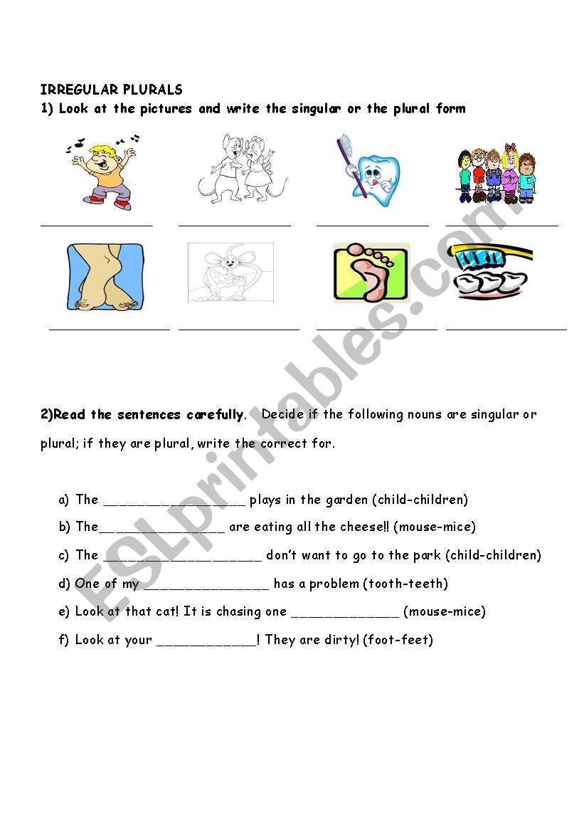 Irregular plural exercises worksheet