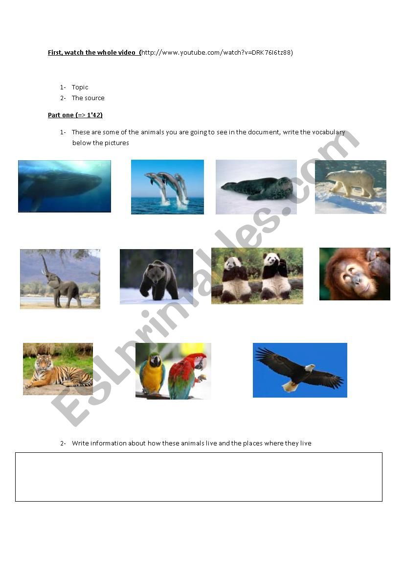 WWF video- environment worksheet