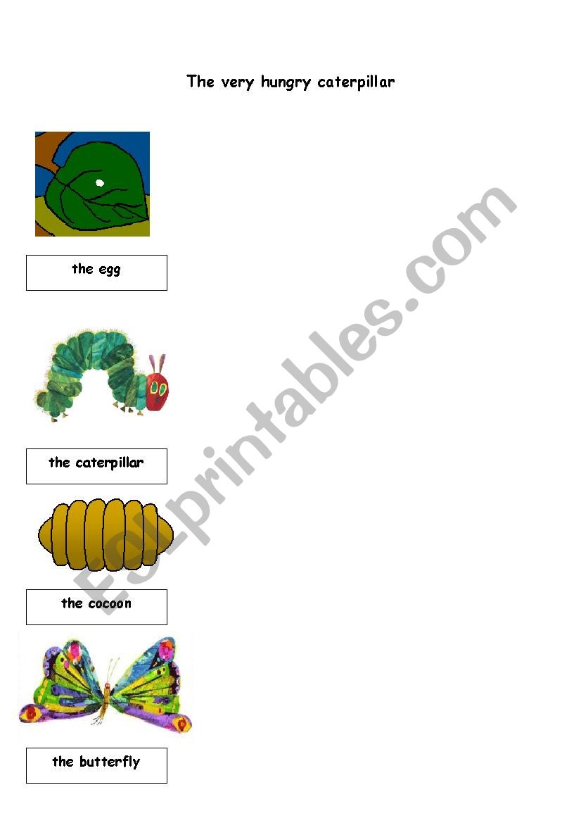 the very hungry caterpillar sentence making