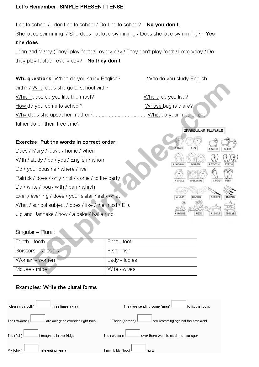Singular/Plural + Simple Present Worksheet