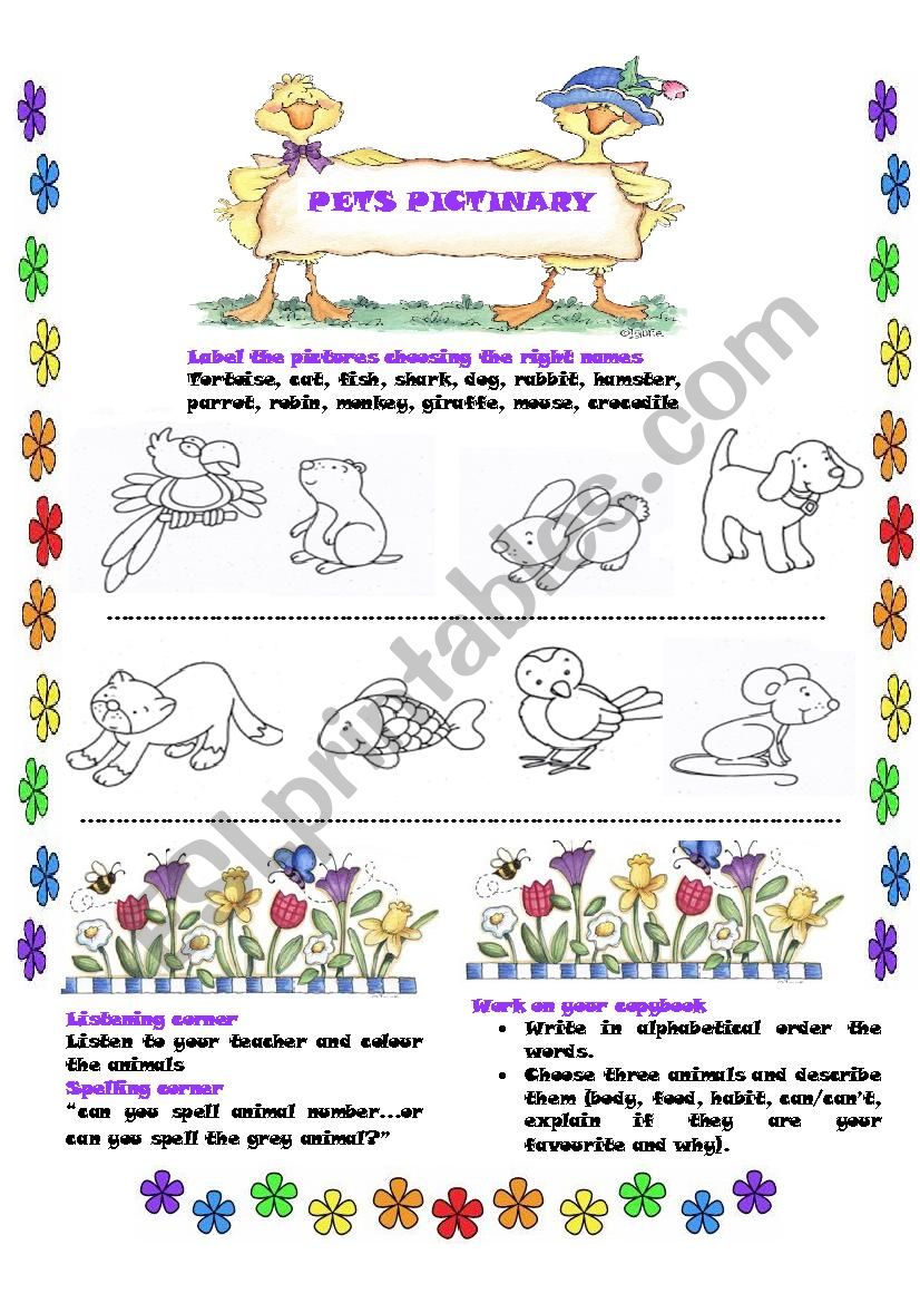 Pets pictionary worksheet